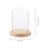 Storage Bottles Eternal Flower Glass Cover Dust Transparent Micro Landscape Display Desktop Ornament (8 12 Column Log Flat Bottom) Case