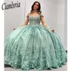 Mintgroen Quinceanera Jurk Uit De Schouder Baljurk 3D Bloemen Applicaties Kant Corset Sweet 15 Vestidos De XV Anos