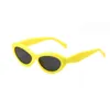 Lunettes de soleil pour femmes lunettes de soleil de mode de luxe lunettes de soleil de plage lunettes de soleil anti-UV grand cadre lunettes de soleil à la mode 605