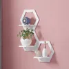 Hooks Spotless Sticks Wall-mounted Rack Living Room Wall Decoration Flower Pot Figures Holder Show Cases 1 Pc