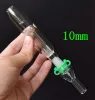 Mini kit de tubos de vidro narguilé com 10mm 14mm 18mm ponta de titânio quartzo prego plataforma de petróleo concentrado dab palha vidro bong zz