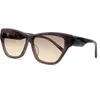 Sunglasses Fashion Cat's Eye Female Retro Oversized Gradient Lens Luxury Design Summer Sunscreen