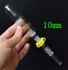 Mini Glass Pipes Kit Hookahs with 10mm 14mm 18mm Titanium Tip Quartz Nail Oil Rig Concentrate Dab Straw Glass Bong ZZ