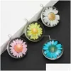 Charms nyaste kreativa designglas Dired Flower Small Daisy Ball Shape Pendant för halsband örhängen Colorf Transparent DIY smycken Dr DH4RC