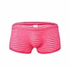 Underpants Sexy Striped Men's Polyester Panties Boxer Male Underwear Shorts Breathable Homme Bokserki