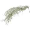 Decorative Flowers Simulated Hanging Vine Moss Landscape Decor Dried Ornament Plastic Wedding Decorations