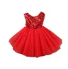 Baby Mädchen Spitze Blumen Ballkleid Kleid für Geburtstag Party Hochzeit Prinzessin Kleider Tutu Kleid Kleinkind Mädchen Kleidung