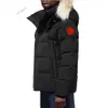 Canadá puffer jaquetas homens designer de pele real coyote blusão ao ar livre jassen outerwear com capuz fourrure manteau para baixo casaco jaqueta inverno