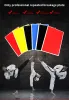 Arts Planche de Pause Réutilisable Taekwondo Formation Performance Board Taekwondo Wesing Arts Martiaux Formation Taekwondos Planches Récassables