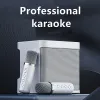 Högtalare YS203 100W High Power Wireless Portable Microphone Bluetooth Sound Outdoor Family Party Karaoke Subwoofer Boom Box Caixa de Som