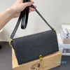 Designer Bag Summer Straw Bag Raffia Woven Handbag Flap Crossbody Travel Purse Women Axel Wallet Designer Chain Cross Body Wallet Black