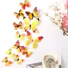 Sticker muurstickers woondecoratie 3D vlinder regenboog koelkastmagneet G658 ZZ