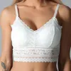 Reggiseni in pizzo Beauty Back Wrap Petto Bralette senza schienale scavato Gilet all'americana senza cuciture in un pezzo Biancheria intima taglie forti