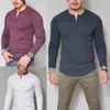 Yaz Mens Slim Fit V Boyun Kısa Tshirts Sıradan Üstler Katı Uzun Kollu Kas Tee GÜNLÜK GİYESİ 240219