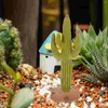 Tuindecoratie Cactus Model Craft Decors Kunstmatige Ornament Gesimuleerde Auto Decoratie Thuis Plant Standbeeld Kantoor