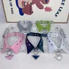 Wholesale Classic Pet Collar Teddy Bichon Schnauzer Jarre Aero Bull Adjustable Hand Holding Rope Dog Collars