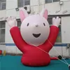 4 MH (13,2 stóp) z dmuchawą nadmierną maskotką Balon Balon Mascot do dekoracji 2