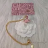 女性用衛星ネックレスデザイナーネックレスVivienenwestwood Luxury Jewelry Viviane Westwood Necklace New Vivienne Globe Necklace for Women Smele Elegant An