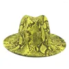 Boinas chapéu de feltro para homens mulheres chapéus fashional com padrão especial Fedora