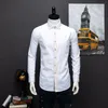 Spunautumn Mens Slim Fit långärmad klänningskjorta Europa Business Causal Border High Quality Wedding Grooms Shirts 240219