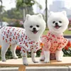 Vêtements pour chiens printemps été automne petite fille chiot robe de princesse manteau de luxe vêtements pour chats produits pour animaux de compagnie pour chiens