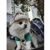 Hondenkleding Leuke hoed Verdikt Grappig Flip-oorkapje Pluche verstelbare accessoires