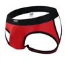 Underpants Male Briefs Men's Underwear Mens Open BuBriefs Gay Erotic Transparent Breathable Low Waist