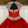 Fashion Little Miss Pageant Dress Teens Juniors 유아용 유아 AB 돌 Crystal Taffeta Long Kids Formal Party Beading High Neckline Rosie Custom-Made