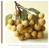 Party Decoration Showcase Longan Prop Fruit Model Simulation Toy Artificial Fake Decorative Simulated Adgnment Ornament False Fruits