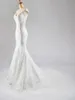 Vestido de novia de sirena simple con apliques de encaje con cuello en V vestidos de novia de trompeta