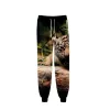 Pantaloni Nuovi pantaloni da jogger Hip Hop tigre stampati in 3D Pantaloni da donna / da uomo Moda Streetwear Pantaloni lunghi Pantaloni sportivi animali casual Pantaloni di alta qualità