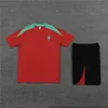 2024 2025 Portugais Soccer Tracksuit Portuguesa Football Formation Men and Kids 24 25 Portuyser Tracksuits Jogging Jersey Shirt Kits survivant Chandal