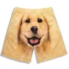Underbyxor roliga hund shorts casual promenader hem sömnkläder 3d tryckt herr sommar djur andas söt underbundna k7t0