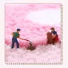 Bath Mats Strawberry Cute Design Cozy Ultra Soft Bath Floor Mats Rugs Plush Microfiber Water Absorbent for Tub Shower and Bath