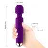 25 Fréquence Single-tête Dragon Scale vibratrice USB SILICONE FEMME SILICONE Stick Massage 231129