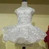 Dog Apparel Princess Cat Wedding Dress Tutu Pet Puppy Dresses Party Skirt Embroidery Clothes Apperal XS -XL