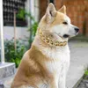 Obroże dla psów Ozdoba łańcucha smyczy Przenośna lekka dekoracyjna aluminiowa nowość Pet Pet Pet