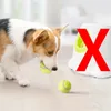 5cm Dog Pet Tennis Interactive Toy Chew Ball Throwing High Bouncy Kids For Supplies Puppy Accesorios 240220