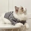 Costumes de chat INS Style à la mode élastique pur coton vêtements printemps et été rayé Base T-shirt marionnette lait court chaton