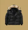 Canada Piumini Uomo Designer Vera pelliccia di coyote All'aperto Wyndham Giacca a vento Jassen Capispalla Con cappuccio Fourrure Manteau Piumino Cappotto Hiver Parka Doudoune XXL