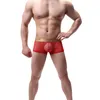 Sous-vêtements Marque Sous-vêtements pour hommes Boxer Sexy Nylon Cuecas Boxers Hommes Shorts Gay Homme Confortable Mâle Garçon 2024