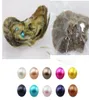 ダブルパール30色67mm塩水カキのツインパールakoya oysters dty jewelry making gifts forlover2178519