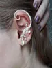 Nya modetillbehör Rhinestone Ear Cuff örhängen Elegant överdrivna Gekkonidae Lizard Stud Earring8149386