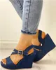 Sandales femmes sandales compensées été bleu plate-forme sandales femmes chaussures décontractées sandales à talons hauts V-F J240224