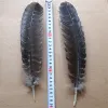 アクセサリー卸売天然イーグルフェザー1016インチ（2040cm）イーグルバードターキーキジの羽毛