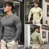 Camicia a compressione casual alla moda, maglietta da allenamento sportiva di grandi dimensioni, da uomo, elastica, manica lunga, autunno, con scollo a V, palestra 240219