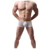 Sous-vêtements Marque Sous-vêtements pour hommes Boxer Sexy Nylon Cuecas Boxers Hommes Shorts Gay Homme Confortable Mâle Garçon 2024