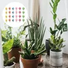 Tuindecoraties 100 stuks Kleine Paddestoel Ornament Creatieve Bonsai DIY Decoratie Plant Desktop Hars Kleurrijk