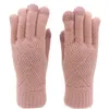 Winter Gloves for Women Cold Weather, Touch Screen Winter Gloves Women Warm Alpaca Fleece Knit Gloves