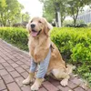 Hundekleidung Vorderbeinpraces Recovery Sleeve Protector Pet Knie -Klammer Wunden für mittelgroßen großen